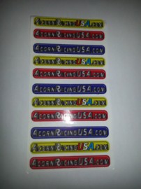 SWRACRCOLOR10 ACORN RACING USA STICKERS (10) (SWRACRCOLOR10)