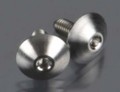 8875 TITANIUM LARGE BODY MOUNT SCREWS (2)