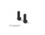 341320 RX8 COMPOSITE FRONT BODY POST (2)