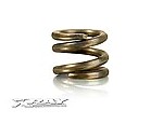 338581 XRAY NT1 CLUTCH SPRING - MEDIUM