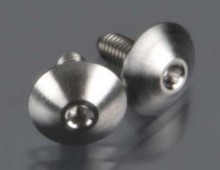 8875 TITANIUM LARGE BODY MOUNT SCREWS (2) (LUN8875)