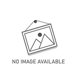 347310 Rear Lower Inner Pivot Pin NRB 4x61.6 (2)